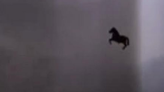 Black Horse Flying over Saudi Arabia